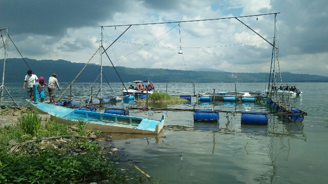 Danau Singkarak/net
