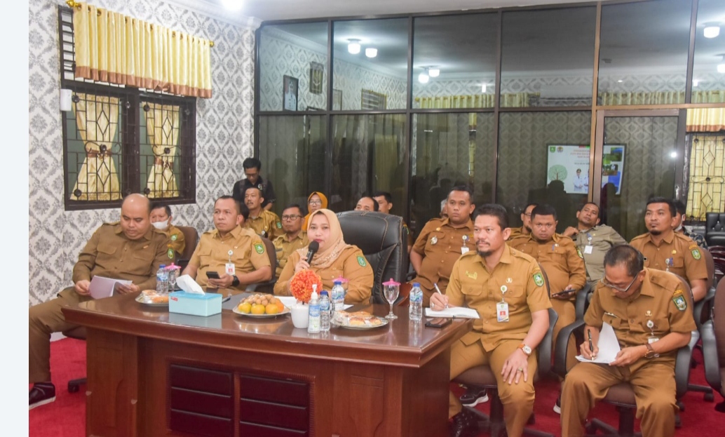 Bupati Kasmarni memaparkan rencana pembangunan di GM Siak Kecil pada Kementerian LHK