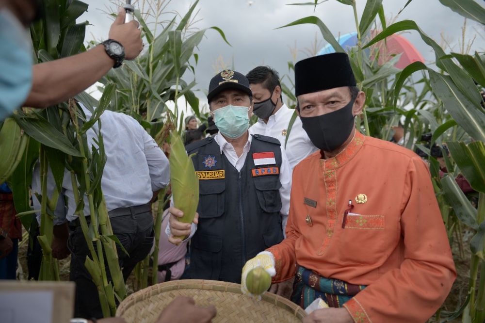 Gubri Syamsuar bersama petani