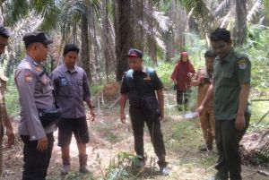 Mitigasi yang dilakukan BKSDA Riau