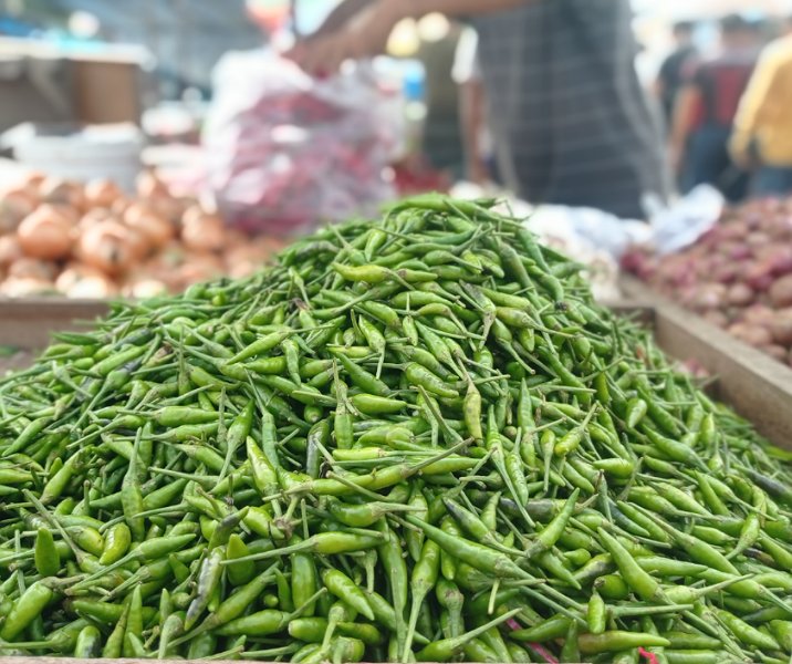 Cabai rawit. Foto: Surya/Riau1.