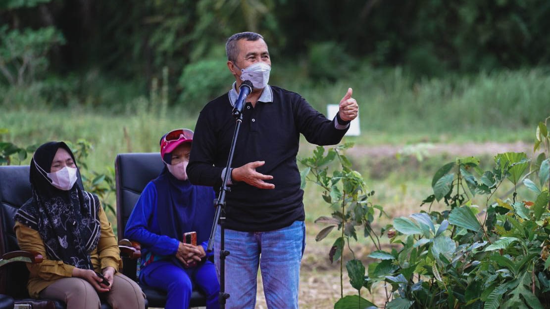 Gubernur Riau, Syamsuar