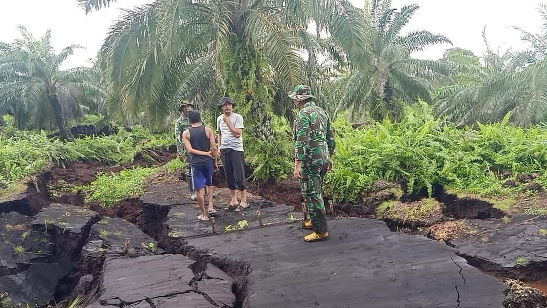 Kawasan terdampak abrasi di Begkalis