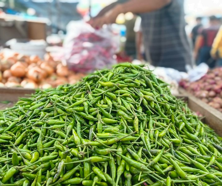 Cabai rawit. Foto: Surya/Riau1.