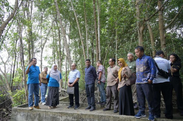 Prof Sri Indarti SE MSi Rektor Universitas Riau tinjau kawasan mengrove kampus UNRI Dumai