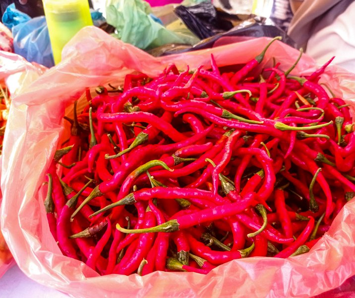 Cabai merah. Foto: Surya/Riau1.