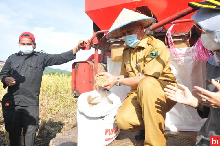 Gubernur Sumatera Barat (Sumbar) Mahyeldi Ansharullah tinjau lahan pertanian