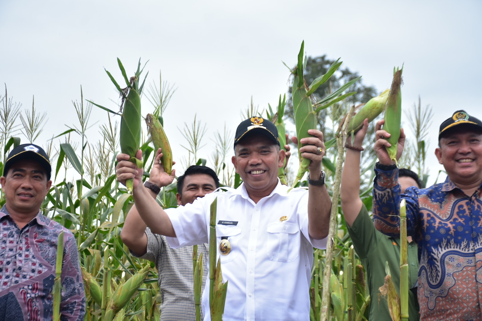 Pj Bupati Kamsol panen jagung