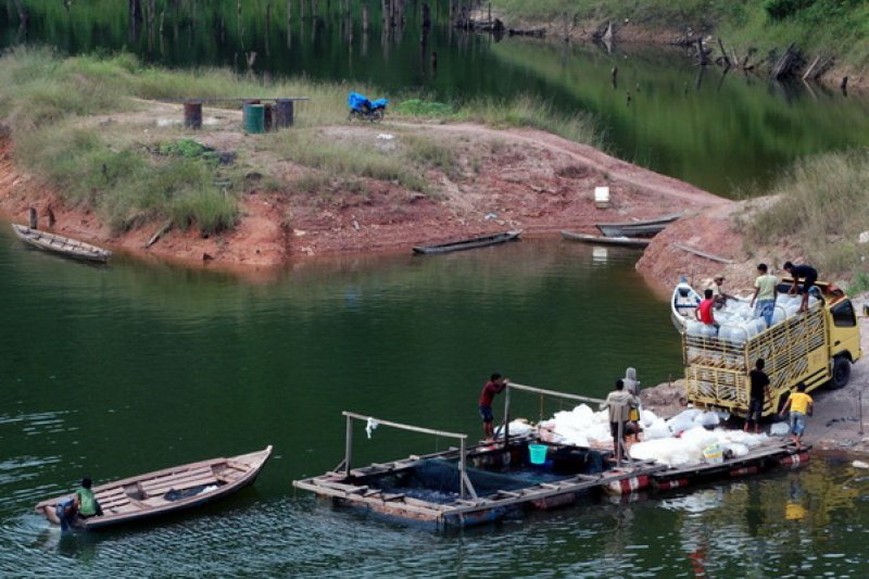 Waduk PLTA Koto Panjang Kampar