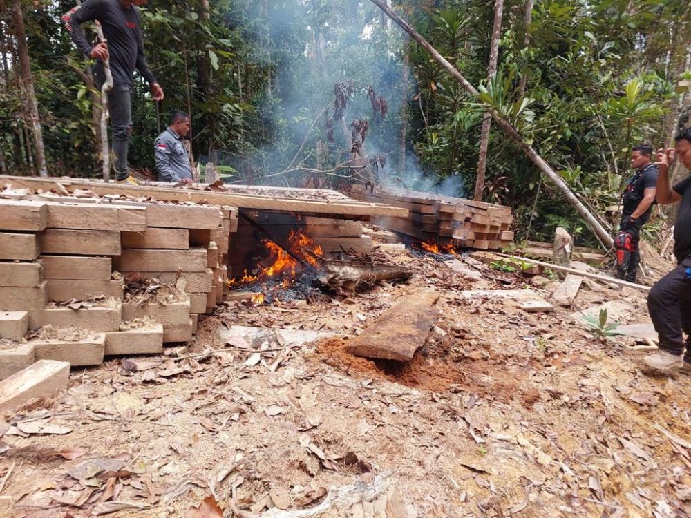 Pondok pelaku ilegal loging di Kuansing