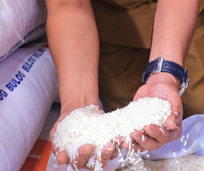 Kualitas beras medium Bulog tak jauh berbeda dengan beras premium. Foto: Istimewa.