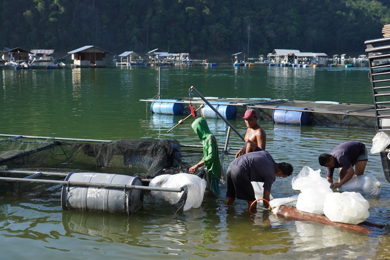 Keramba di Danau Koto Panjang