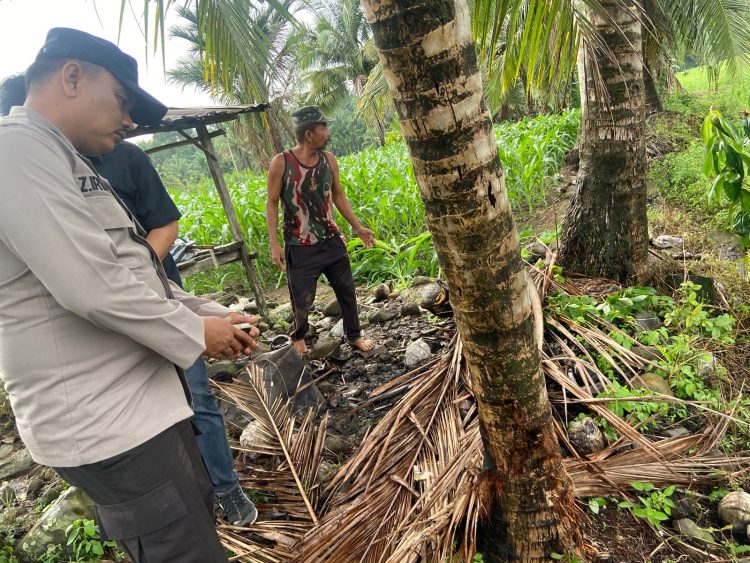 Lokasi petani tersambar petir (Foto: Katasumbar)