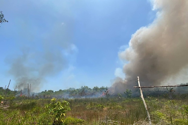 Karhutla di Karimun (Foto: Batamnews)