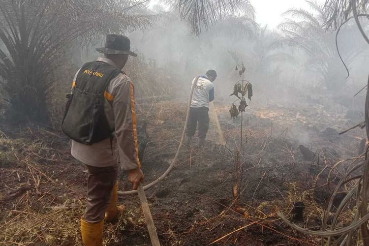 Kawasan terdampak Karhutla di Dumai