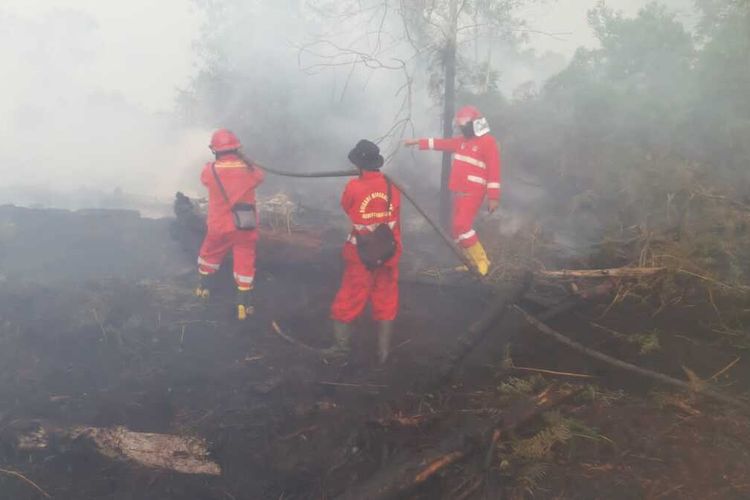 Pemadaman kebakaran lahan di Dumai