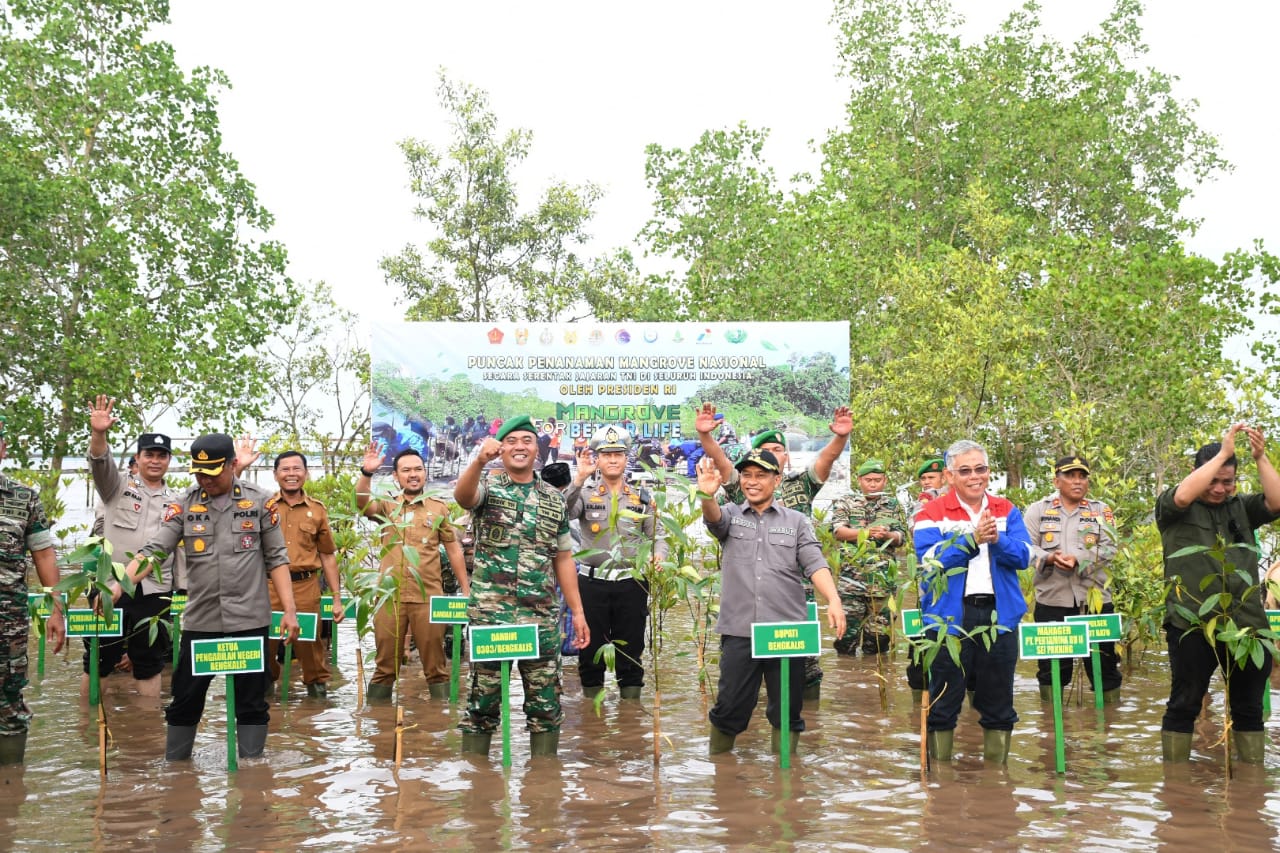 Gerakan penanaman mangrove di Pangkalan Jambi Bengkalis