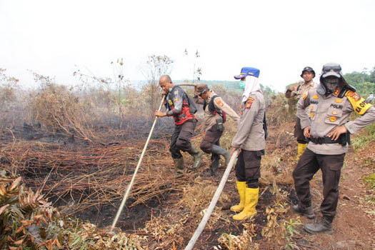 Karhutla di Bengkalis belum lama ini