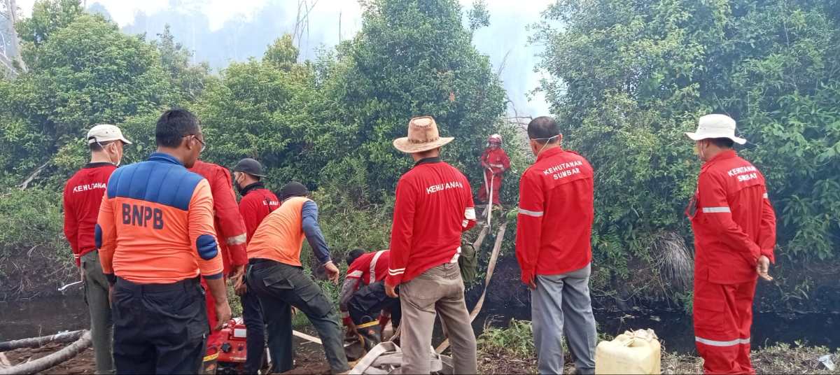 karhutla di Pesisir Selatan Sumbar