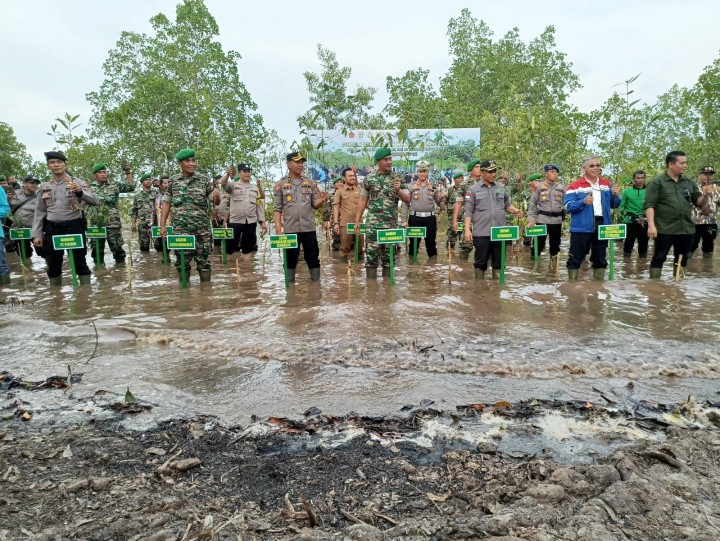 Penanaman mangrove secara serentak