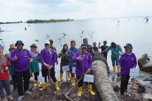 Penanaman bibit mangrove di Dumai