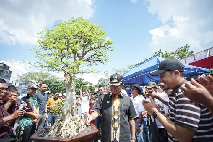 Pameran Bonsai di Tembilahan