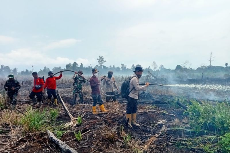 Karhutla di Riau/Net