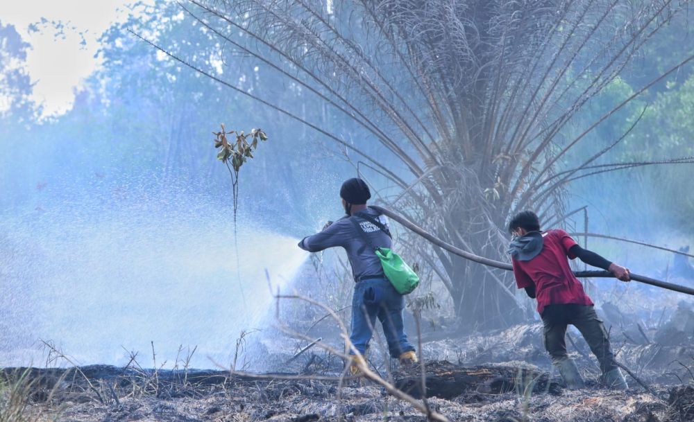 Proses pendinginan lahan yang terbakar