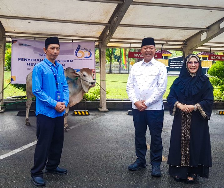 Sekdako Pekanbaru Indra Pomi Nasution (tengah) bersama Kepala Cabang Taspen Burmansyah saat penyerahan sapi kurban, Rabu (28/6/2023). Foto: Istimewa.