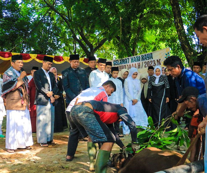 Pj Wali Kota Pekanbaru Muflihun menyaksikan pemotongan hewan kurban di area belakang MPP, Kamis (29/6/2023). Foto: Istimewa.