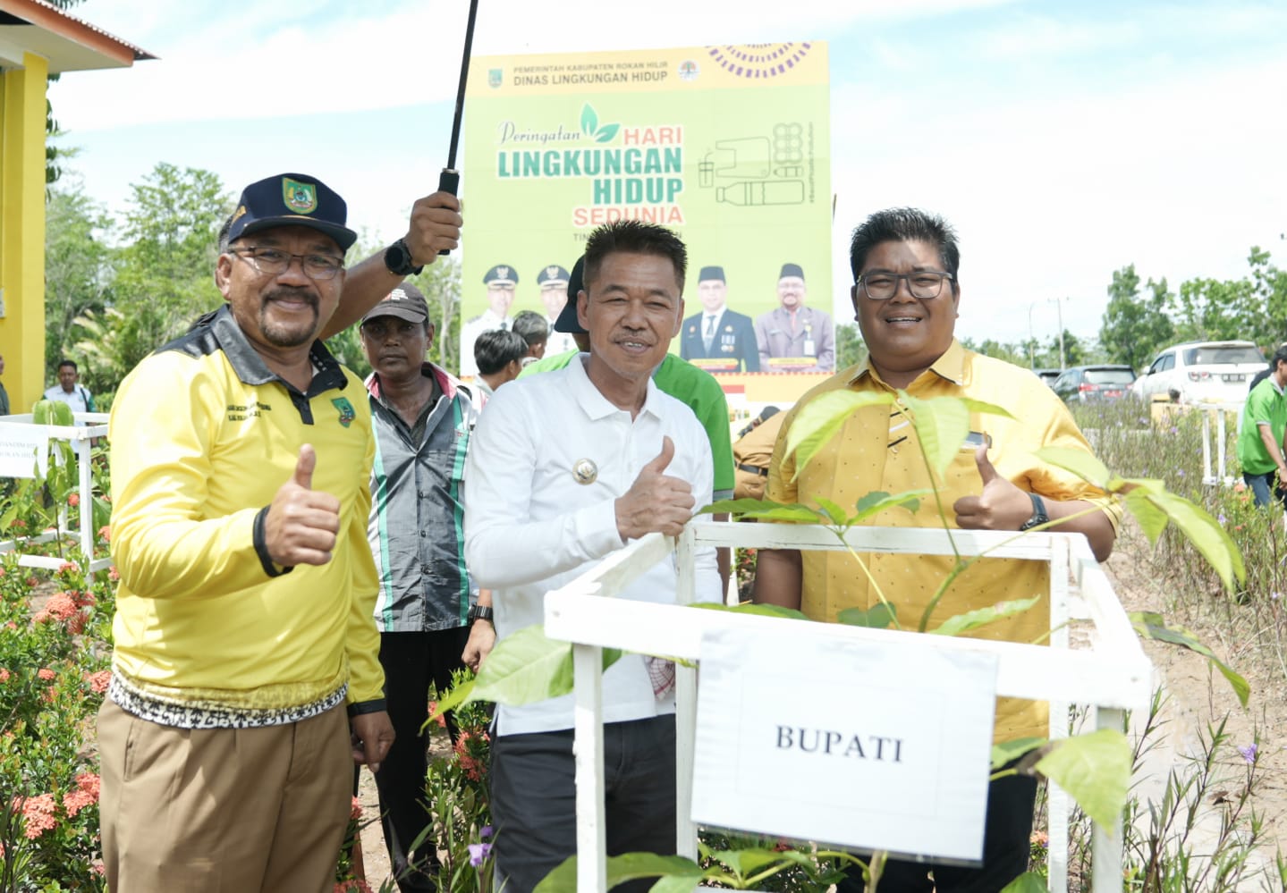 Penanaman pohon di Rohil