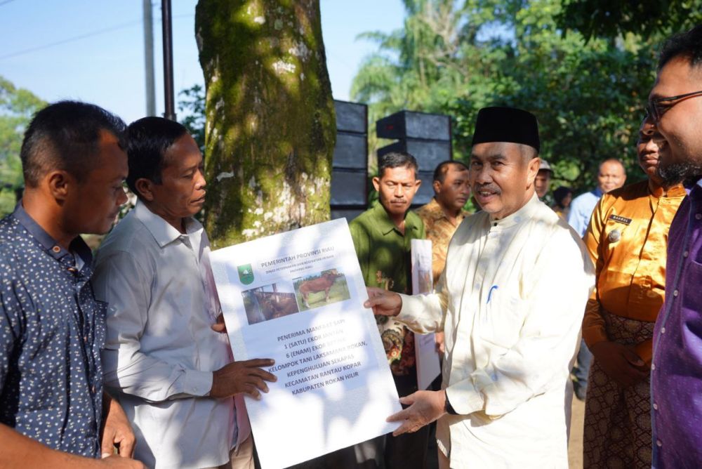 Penyerahan bantuan sapi ternak untuk masyarakat di Rohil