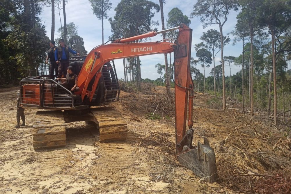 Alat berat yang digunakan untuk merambah hutan