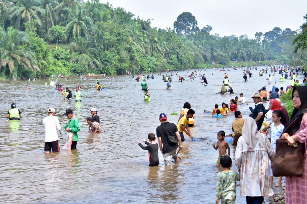 Budaya Ikan Antau Larangan di Desa Siberuang