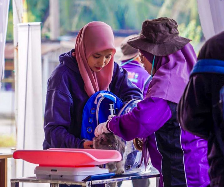 Seekor kucing saat disuntik vaksin anti rabies di halaman Kantor Kecamatan Kulim pada 7 Oktober 2023. Foto: Istimewa.