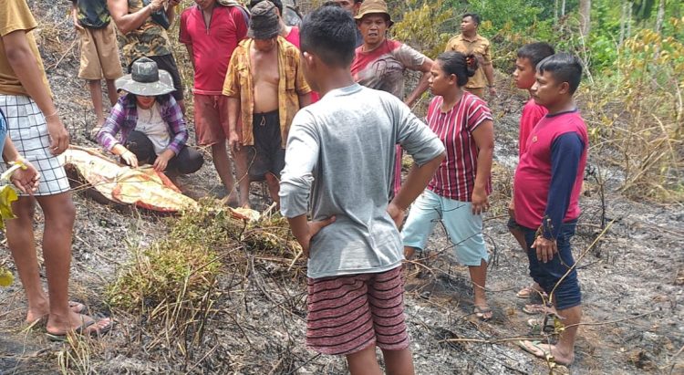 Penemuan jasad di lokasi kebakaran lahan di Pesisir Selatan Sumbar/Katasumbar