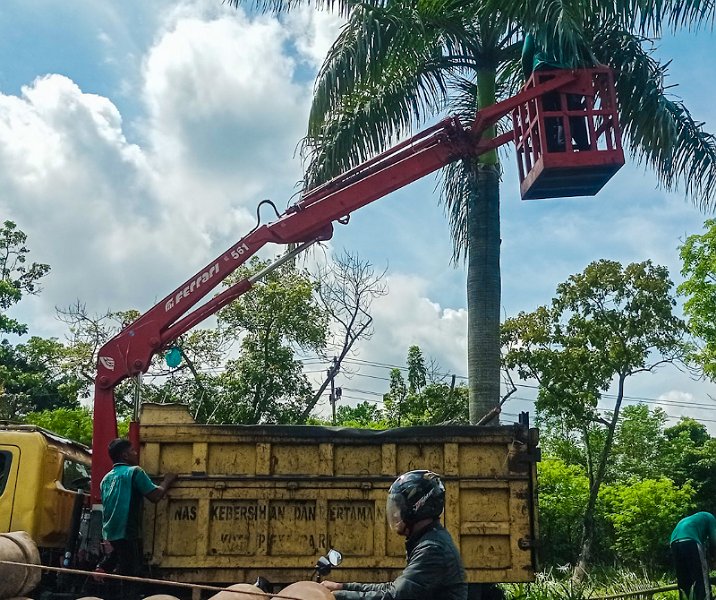 Petugas DLHK Pekanbaru saat memotong dahan pohon di median jalan. Foto: Surya/Riau1.