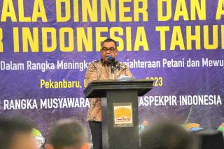 Plt Gubernur Riau, Edy Natar Nasution