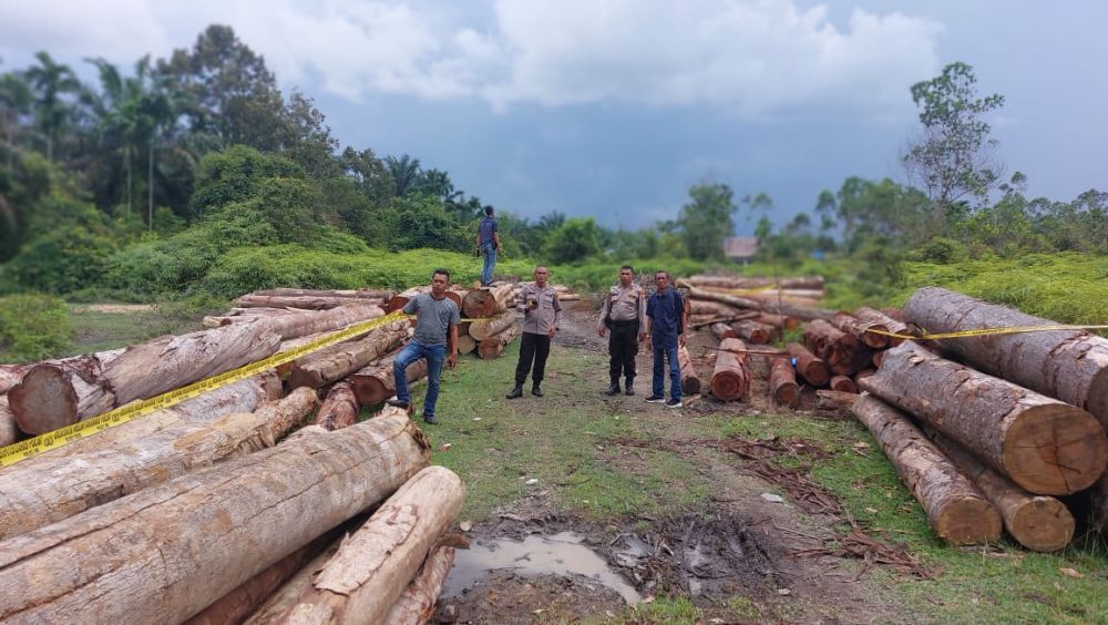 Tual kayu diduga hasil pembalakan liar di Kampar Kiri