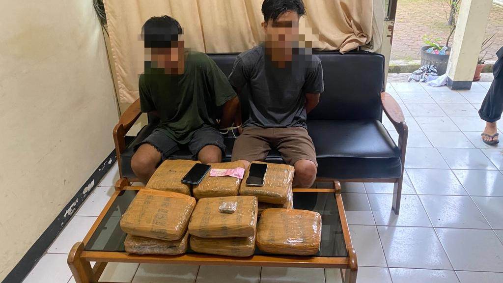 Pelaku pengedar ganja yang diamankan Polres Payakumbuh/Reformasiaktual.com