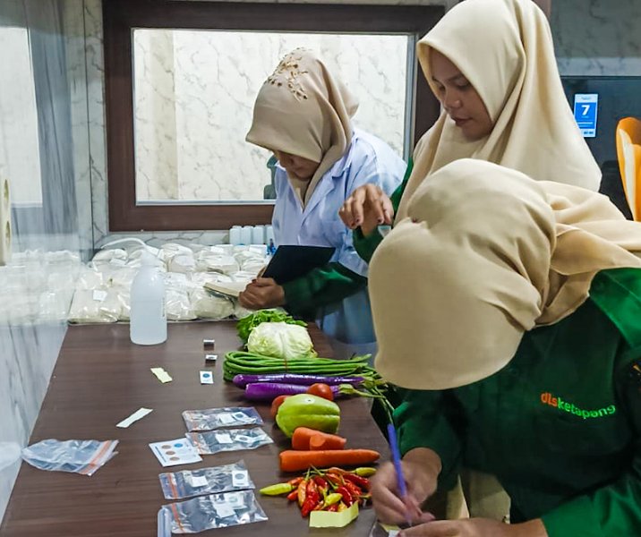 Petugas laboratorium Disketapang Pekanbaru saat melakukan uji residu sayuran yang dijual di salah satu pasar. Foto: Istimewa.