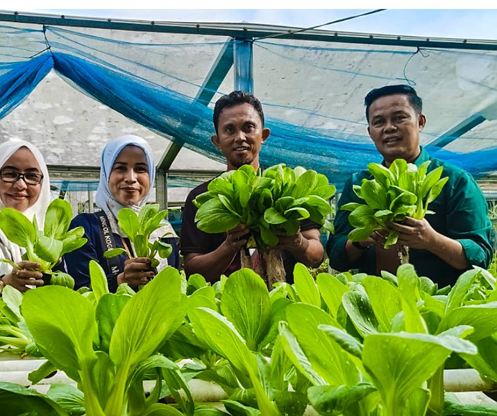 Kepala Disketapang Pekanbaru Maisisco (kanan) saat meninjau salah satu kebun sayur beberapa hari lalu. Foto: Istimewa.