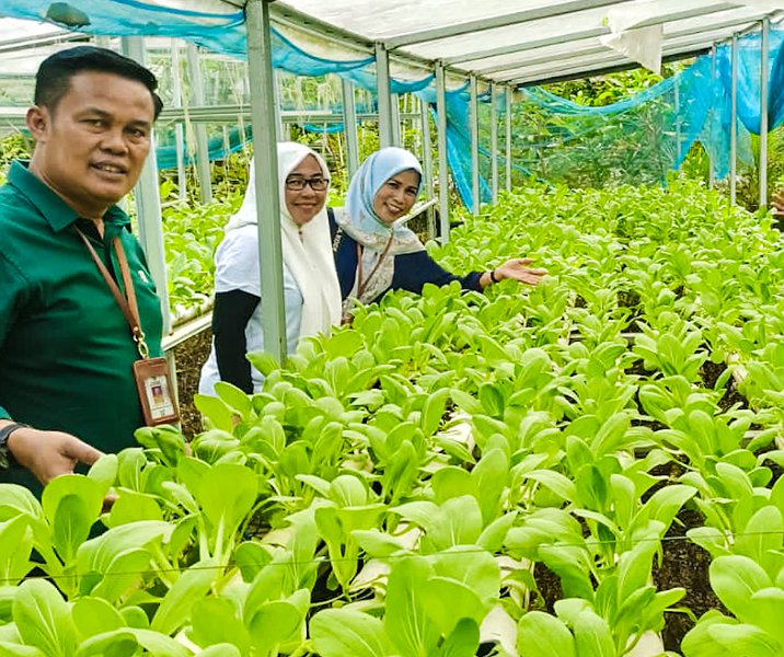 Kepala Disketapang Pekanbaru Maisisco saat meninjau pertanian sederhana di DK Green Farm, Kulim, pada 1 Desember 2023. Foto: Istimewa.