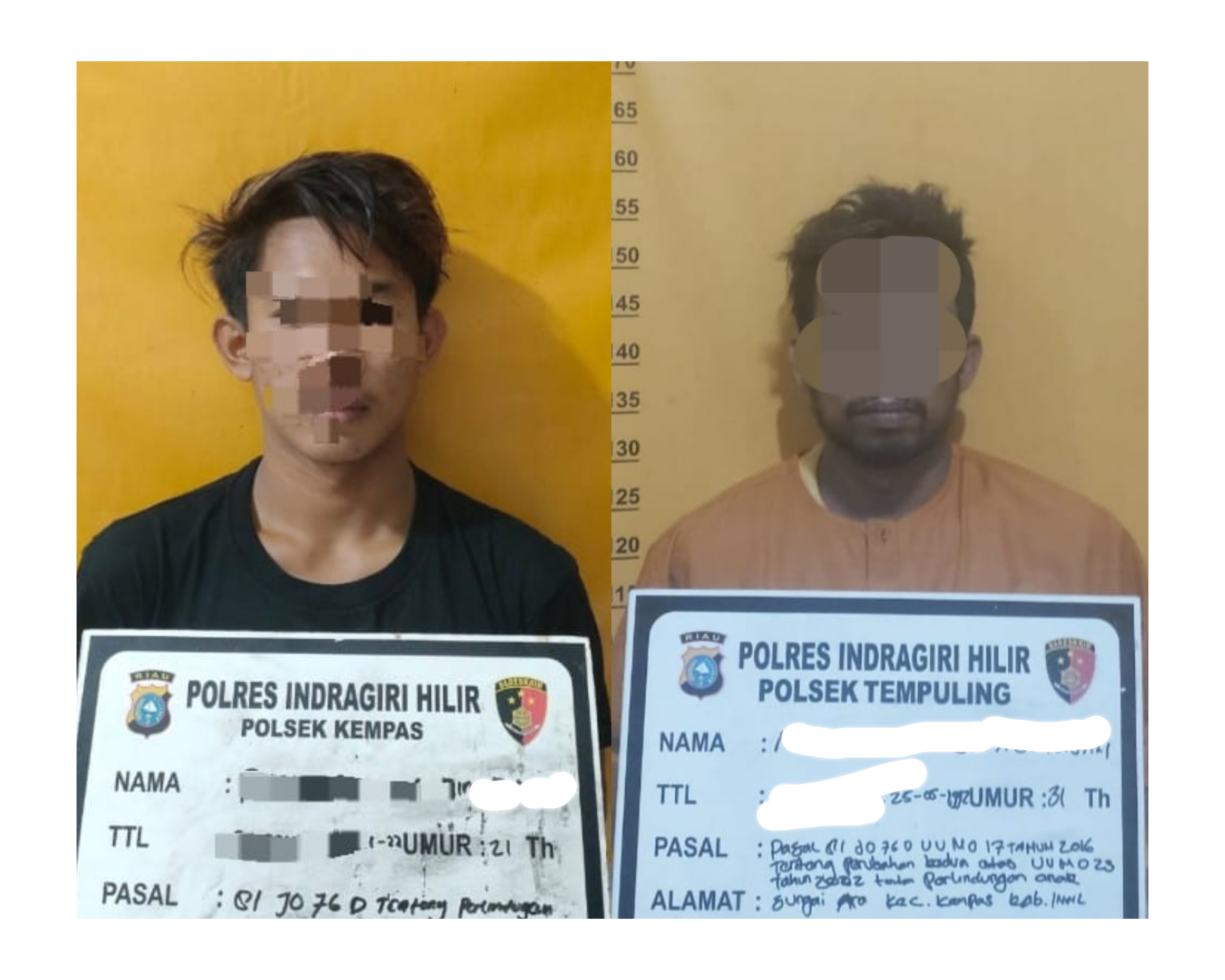 Pelaku pemerkosaan anak di bawah umur di Tempuling Inhil