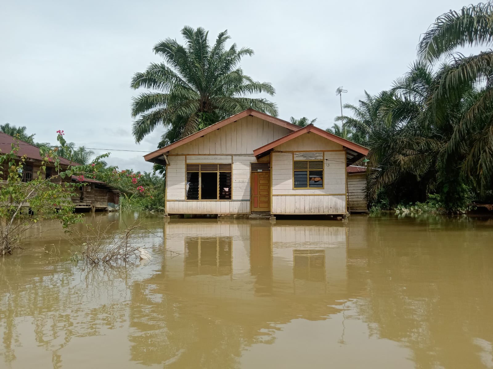 Kawasan terendam banjir di Kabupaten Kampar