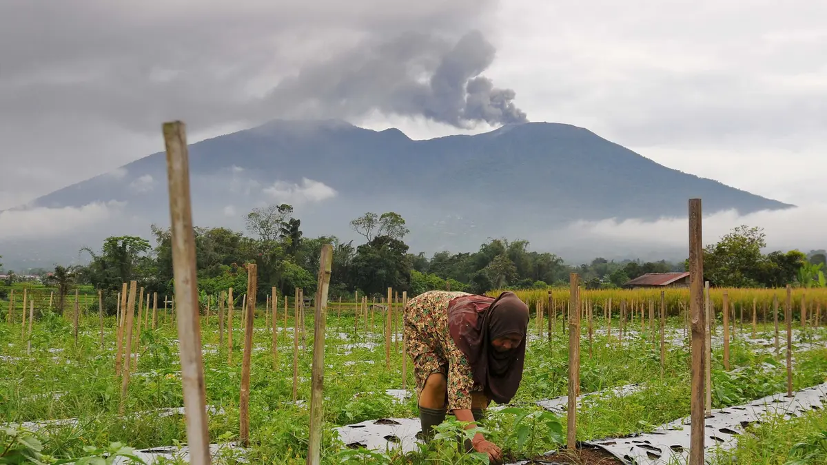 Gunung Marapi tampak dari kejauhan/Liputan6.com