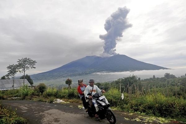 Sayuran di sekitar gunung marapi