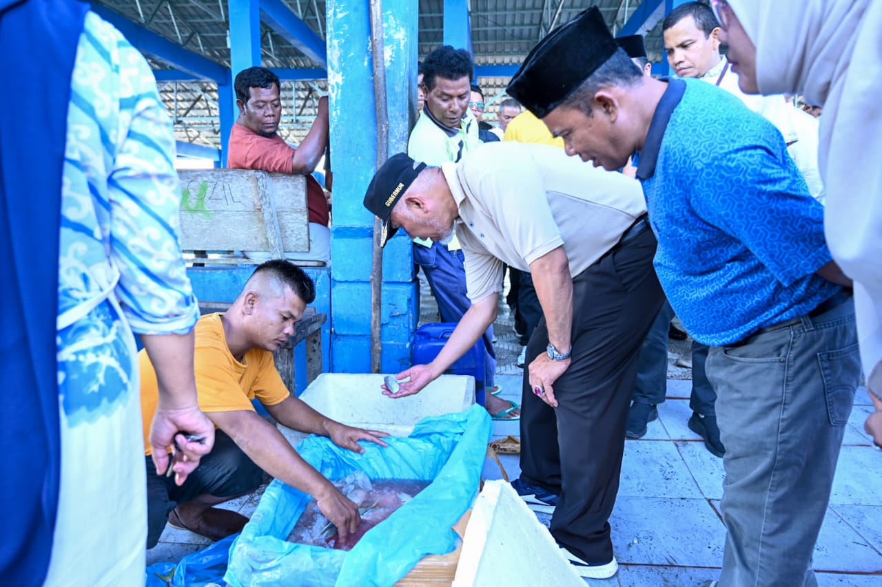 Gubernur Sumatera Barat (Sumbar) Mahyeldi Ansharullah tinjau budidaya lobster