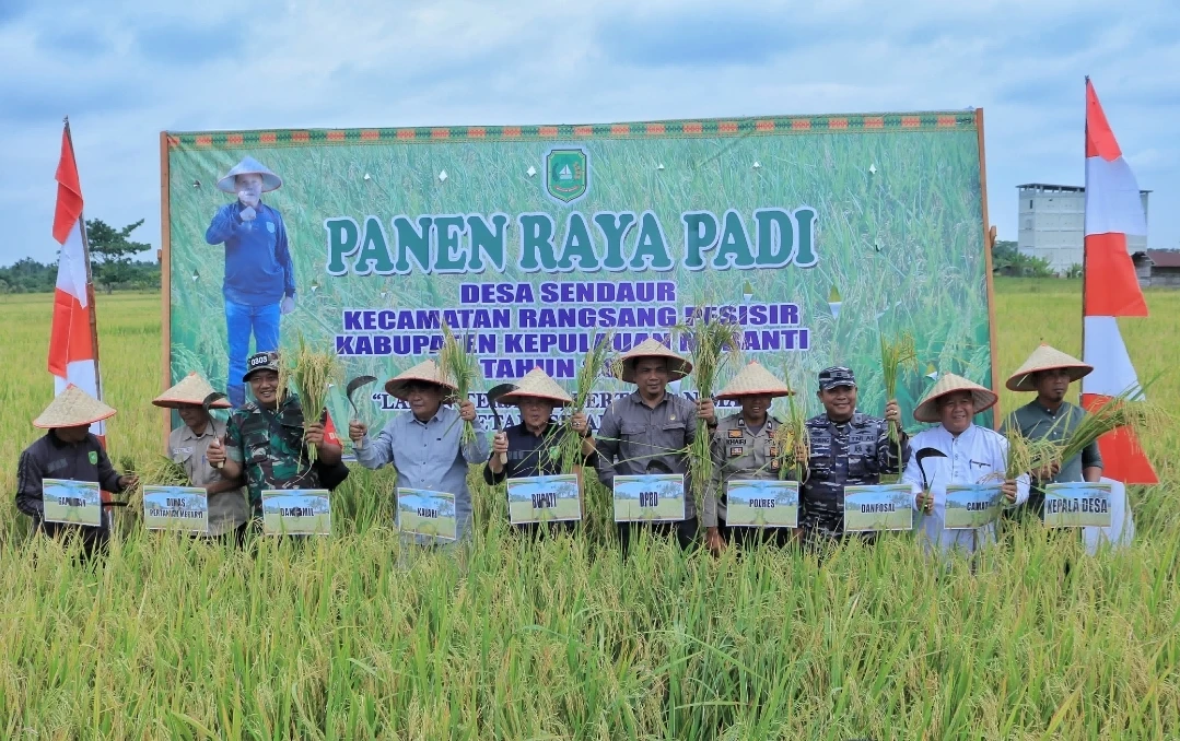 Panen Raya Padi di Desa Sendaur Kecamatan Rangsang Pesisir