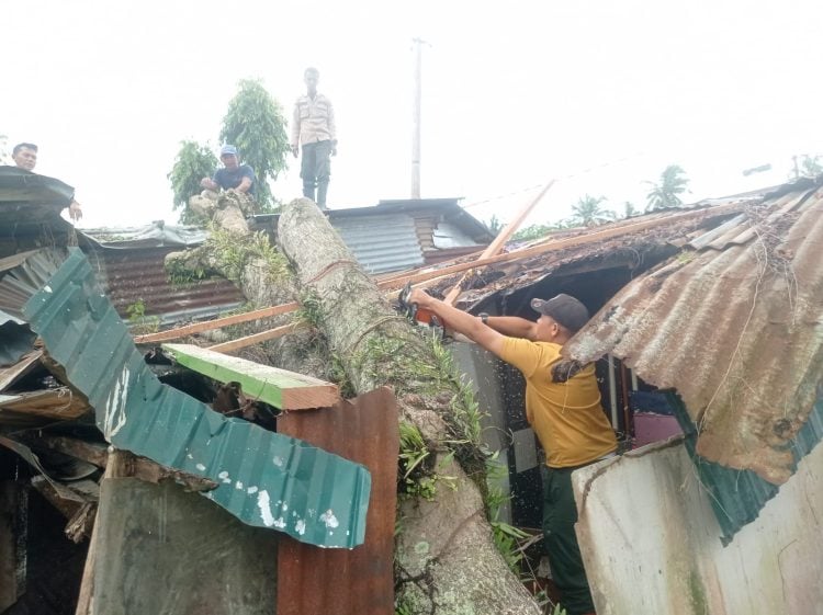 salah satu rumah yang hancur akibat pohon yang tumbang di Kota Padang/Katasumbar